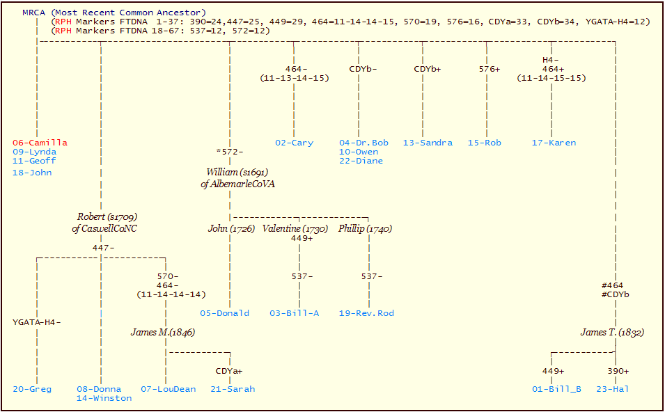 Allen (I) Mutation History Tree