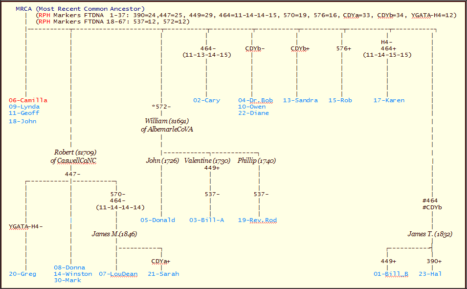 Allen Patrilineage 1 Mutation History Tree