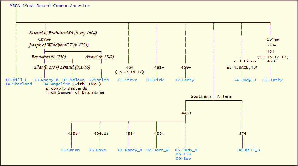 Allen Patrilineage 2 Mutation History Tree